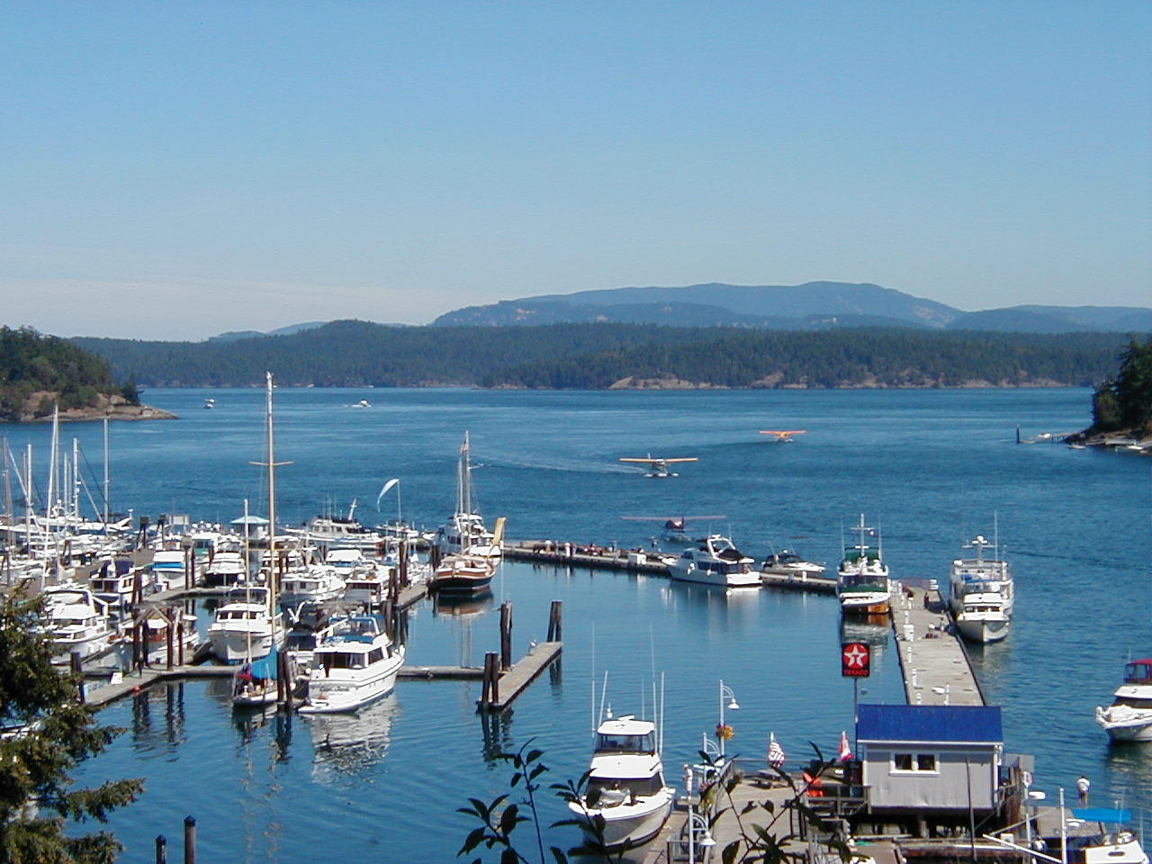 Sunday_afternoon_in Friday_Harbor