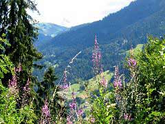 On the way to Saisies